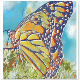 Butterfly I, Field Life Series. 
© 2013 Jason Haza