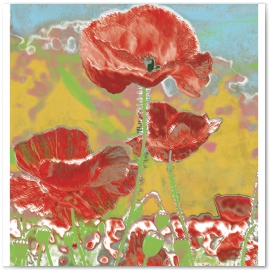Poppies. Field Flower Series 
© 2013 Jason Haza