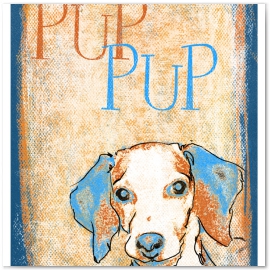 Pup Pup
© 2013 Jason Haza