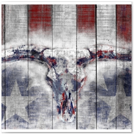 Longhorn Skull. Red White & Ride Series.  
©2013 Jason Haza
