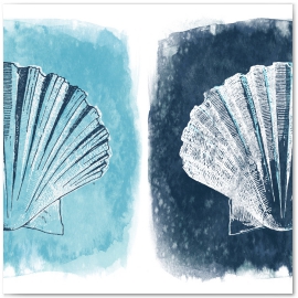 Shells in Blues,  Blue Coastal Series © 2013 Jason Haza