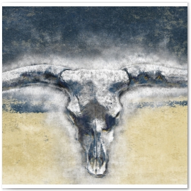 Longhorn.
© Jason Haza